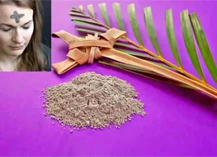 MI&Eacute;RCOLES DE CENIZA