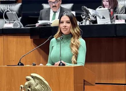 Propone regular uso de ahorro para retiro en casos de pensi&oacute;n alimenticia