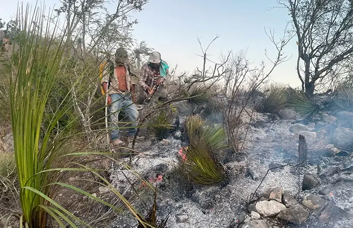 Controlan, incendio en San Francisco de Asís