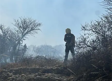 Reportan 90% de control en incendio de Mexquitic