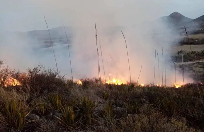 Siguen sin control los incendios forestales
