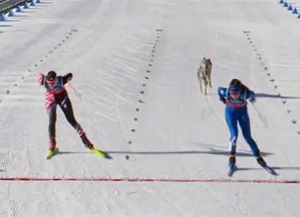 Un perro suelto hace un cameo ol&iacute;mpico