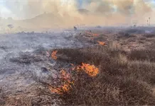 Viento reaviva el fuego en Mexquitic; desalojan comunidades (videos)