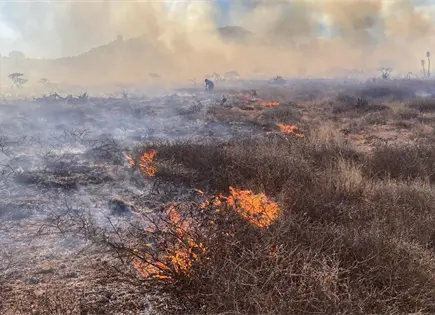 Viento reaviva el fuego en Mexquitic; desalojan comunidades (videos) Viento reaviva el fuego en Mexquitic; desalojan comunidades (videos)