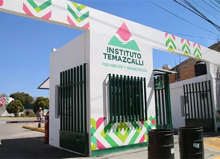 Internamiento, solo con voluntad propia del paciente: Instituto Temazcalli