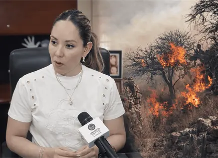 Advierte Dulcelina Sánchez sanciones por incendios forestales Advierte Dulcelina Sánchez sanciones por incendios forestales