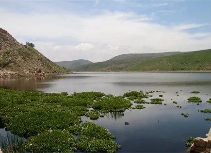 Exigen frenar contaminaci&oacute;n en la presa San Jos&eacute;