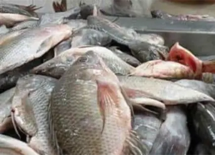 Inicia Operativo Cuaresma, &iquest;C&oacute;mo elegir bien productos del mar?