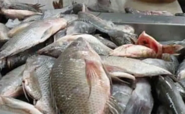 Inicia Operativo Cuaresma, ¿Cómo elegir bien productos del mar? Inicia Operativo Cuaresma, ¿Cómo elegir bien productos del mar?