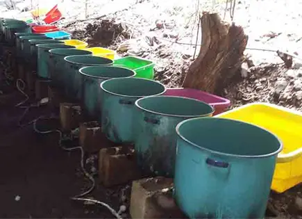 No ha habido decomisos de fentanilo en SL, señala SSPC No ha habido decomisos de fentanilo en SL, señala SSPC