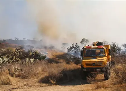 No hay denuncias por los recientes incendios: FGE