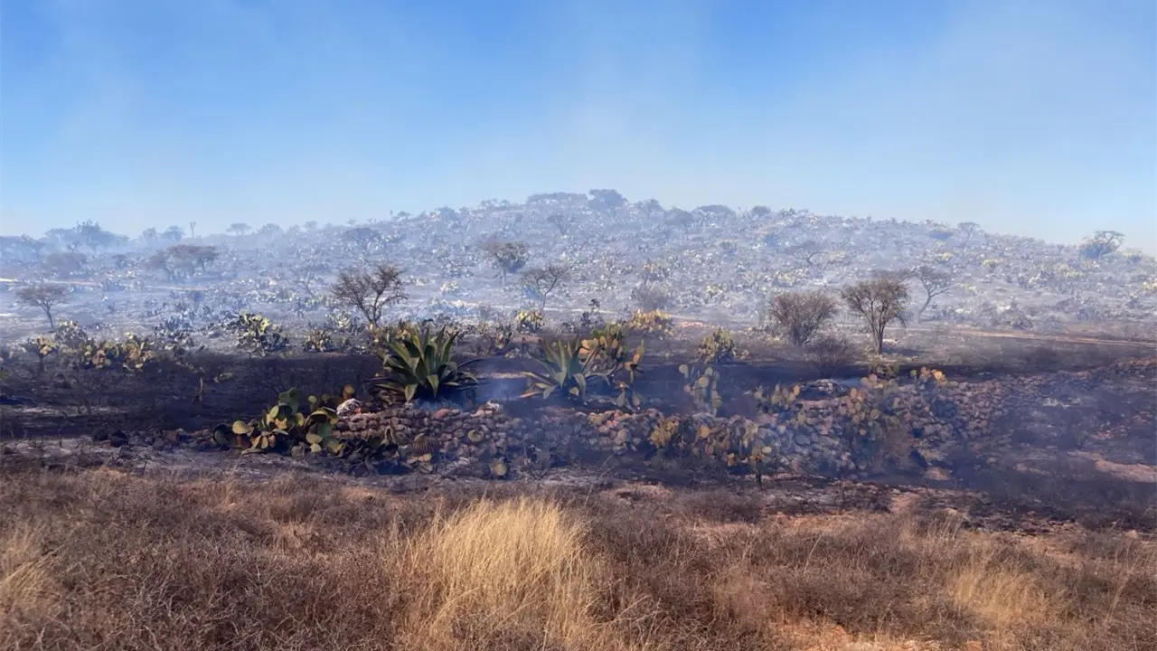 Foto: Alberto Martínez/Pulso