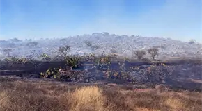 Siguen labores de liquidación de incendios en tres municipios Siguen labores de liquidación de incendios en tres municipios