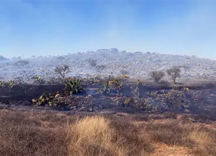 Siguen labores de liquidaci&oacute;n de incendios en tres municipios