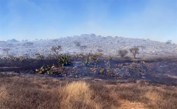 Siguen labores de liquidación de incendios en tres municipios Siguen labores de liquidación de incendios en tres municipios