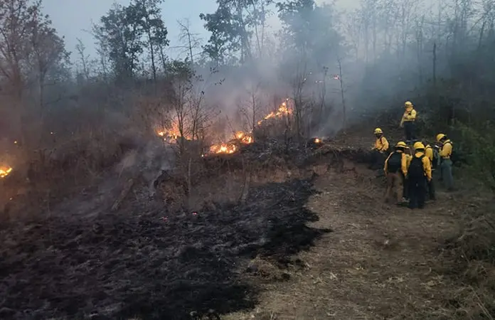 Abren centro de acopio para los brigadistas