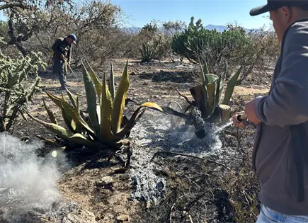 Incendios activos movilizan brigadas en tres municipios de SLP