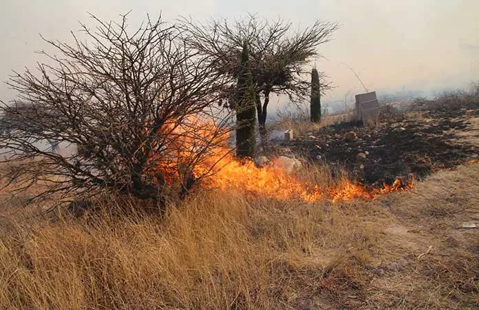 Incendios en Mexquitic, sin riesgo para la capital