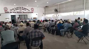 Mejora calidad de la ca&ntilde;a en el IPA