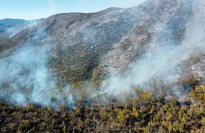 Bomberos sofocan incendio forestal