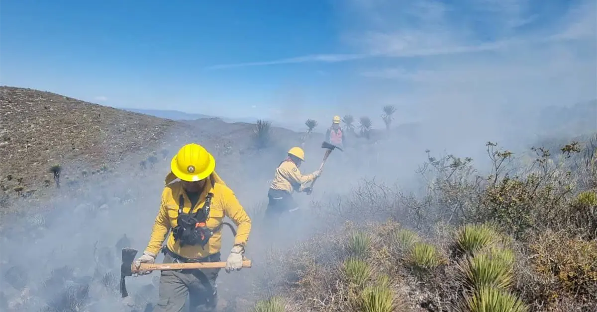 Suman 17 mil hect&aacute;reas afectadas por incendios; hay un detenido