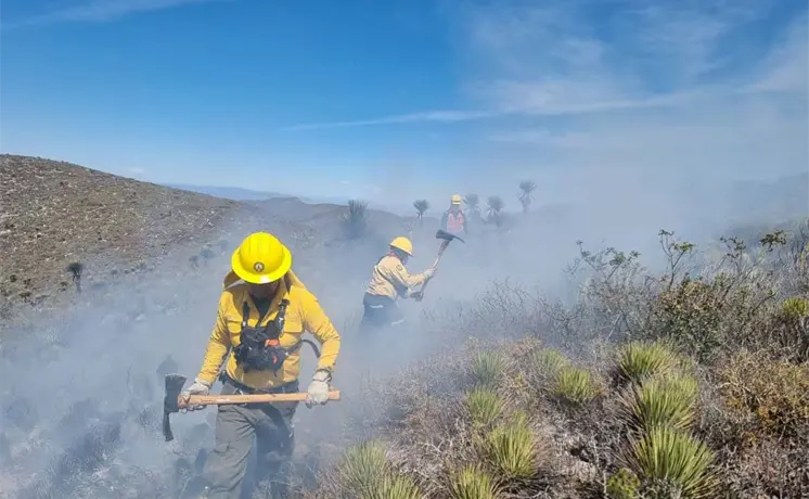 SLP es l&iacute;der en incendios forestales; suman 47 en 2026