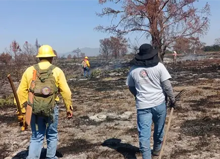 Continúa combate de incendio en El Sabinito Continúa combate de incendio en El Sabinito