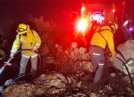 Incendios activos en SLP han consumido más de 200 hectáreas Incendios activos en SLP han consumido más de 200 hectáreas