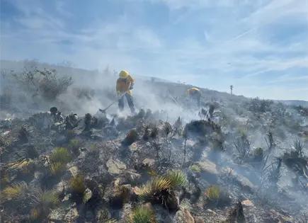 Incendios arrasan miles de hect&aacute;reas; ya hay un detenido