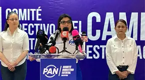 PAN de SLP no descarta perfiles externos para candidaturas