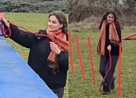 &iquest;Qu&eacute; es el Hobby Dogging, nueva tendencia en redes?