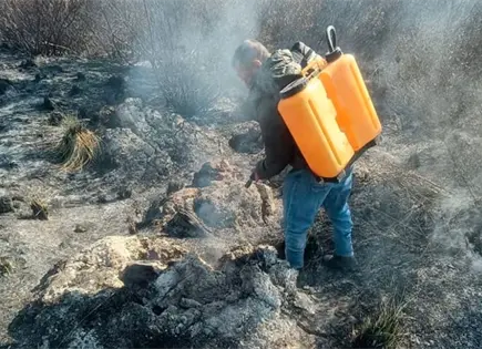 Aumenta ola de incendios en ZM