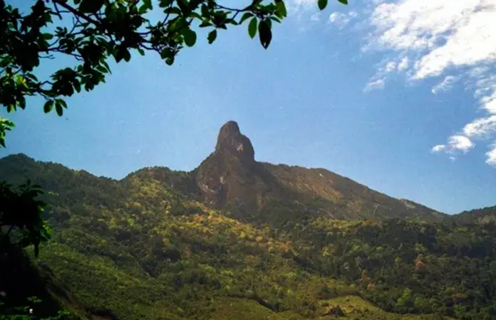 Elabora Segam cinco planes de manejo de ANP