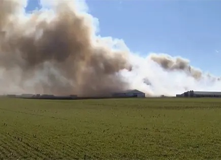 Incendio en complejo agr&iacute;cola de Ohio mata a unos 6,000 cerdos