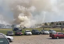 Video | Reportan incendio a un costado de la Coronado