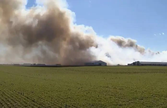 Incendio en Ohio mata a 6,000 cerdos