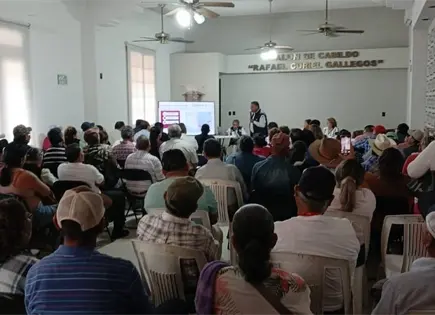 Senasica reporta 18 casos de gusano barrenador en SLP