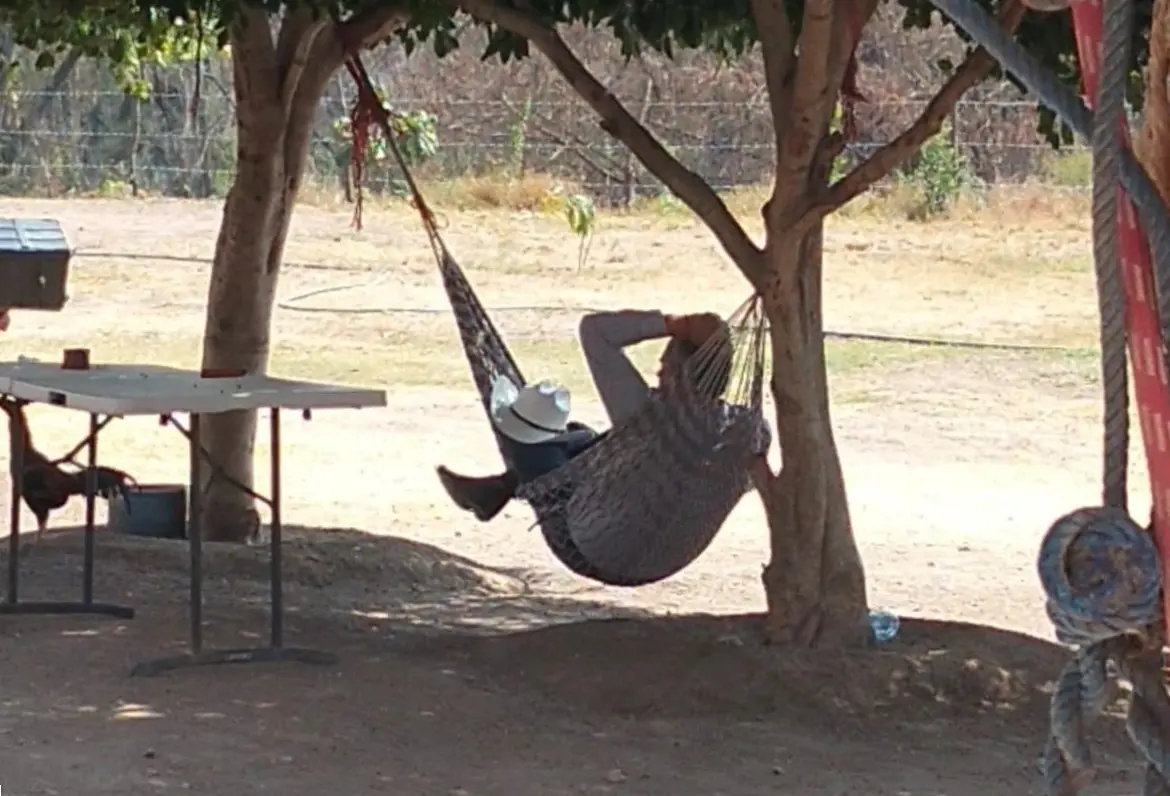 Díaz Salinas usa personal de Sedarh para limpiar su rancho, denuncian