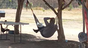 Ordena RG investigar a Díaz Salinas por presunto desvío de recursos Ordena RG investigar a Díaz Salinas por presunto desvío de recursos