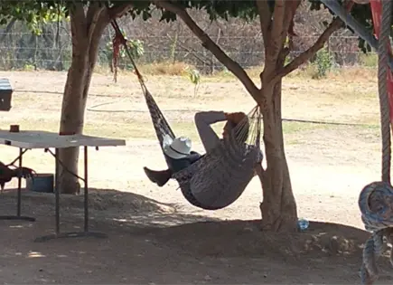 Díaz Salinas usa personal de Sedarh para limpiar su rancho, denuncian Díaz Salinas usa personal de Sedarh para limpiar su rancho, denuncian