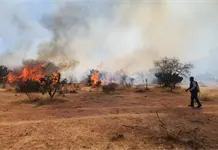 Se reactiva incendio en Villa de Reyes