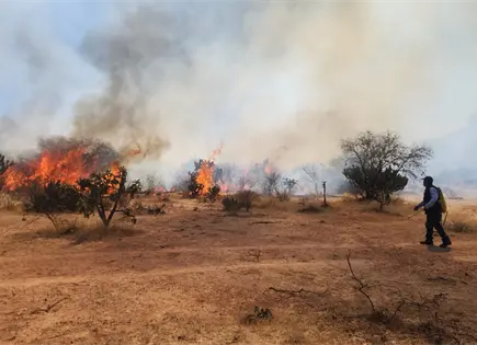 Se reactiva incendio en Villa de Reyes