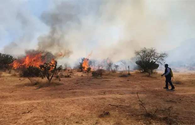 Se reactiva incendio en Villa de Reyes Se reactiva incendio en Villa de Reyes
