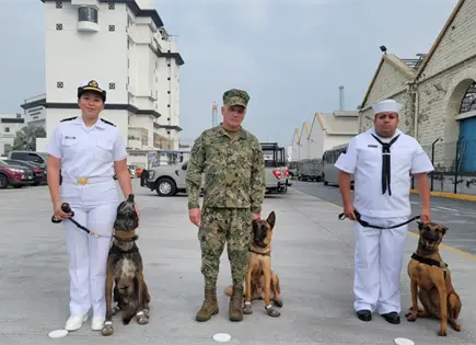 Secretaría de Marina retira a perros Karam, Hitzil y Kobu en Veracruz Secretaría de Marina retira a perros Karam, Hitzil y Kobu en Veracruz
