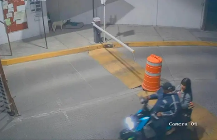 Ana Karen tomó un Didi y apareció muerta