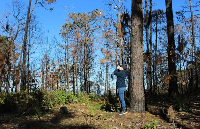 Emiten el Plan de Manejo para nueva reserva