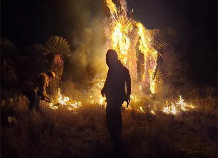 Incendio moviliza a corporaciones en Camino a Palomas, en SGS (video)