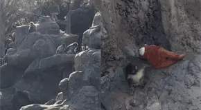 Pin de Punch, el mono del zool&oacute;gico Ichikawa, llega a Crocs