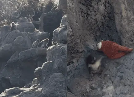 Influencer mexicano visita a mono Punch en zool&oacute;gico de Ichikawa