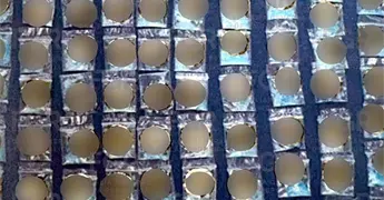 "Narco", sentenciado a 4 a&ntilde;os de prisi&oacute;n